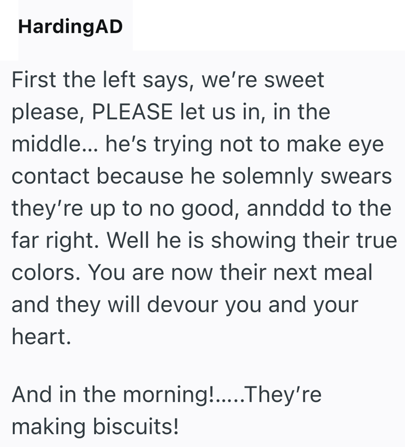HardingAD First the left says, we're sweet please, PLEASE let us in, in the middle... he's trying not to make eye contact because he solemnly swears they're up to no good, annddd to the far right. Well he is showing their true colors. You are now their next meal and they will devour you and your heart. And in the morning!.....They're making biscuits!