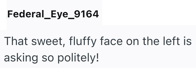 Federal_Eye_9164 That sweet, fluffy face on the left is asking so politely!
