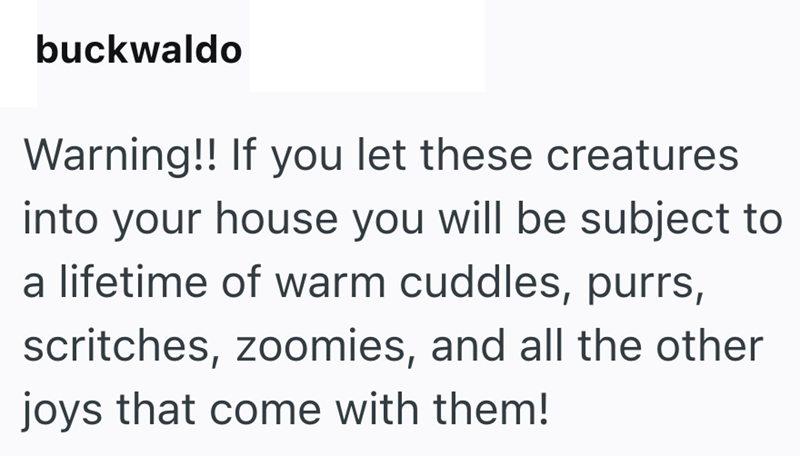 buckwaldo Warning!! If you let these creatures into your house you will be subject to a lifetime of warm cuddles, purrs, scritches, zoomies, and all the other joys that come with them!