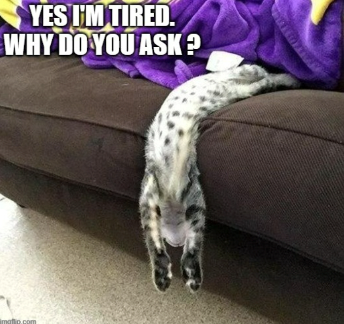 YES I'M TIRED. WHY DO YOU ASK? maflip.com