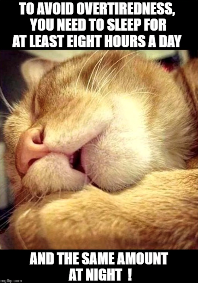 TO AVOID OVERTIREDNESS, YOU NEED TO SLEEP FOR AT LEAST EIGHT HOURS A DAY imgflip.com AND THE SAME AMOUNT AT NIGHT!