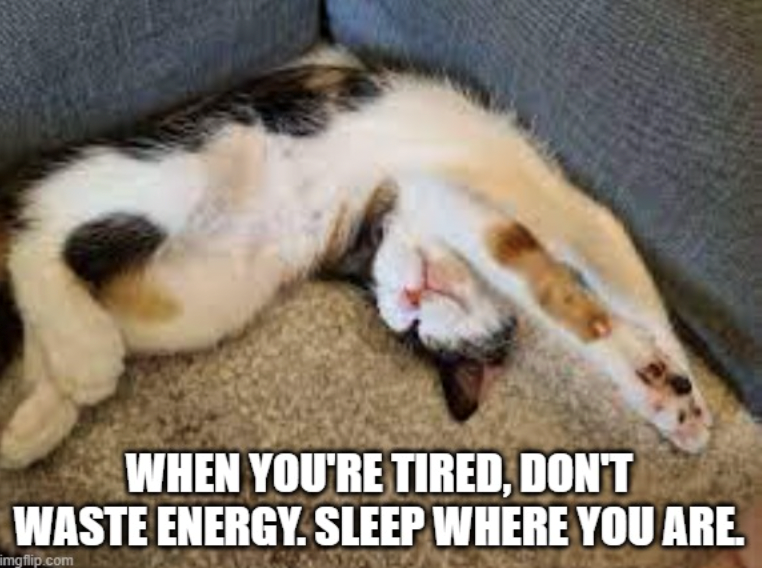 WHEN YOU'RE TIRED, DON'T WASTE ENERGY. SLEEP WHERE YOU ARE. imgflip.com