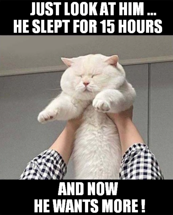 JUST LOOK AT HIM... HE SLEPT FOR 15 HOURS AND NOW HE WANTS MORE!