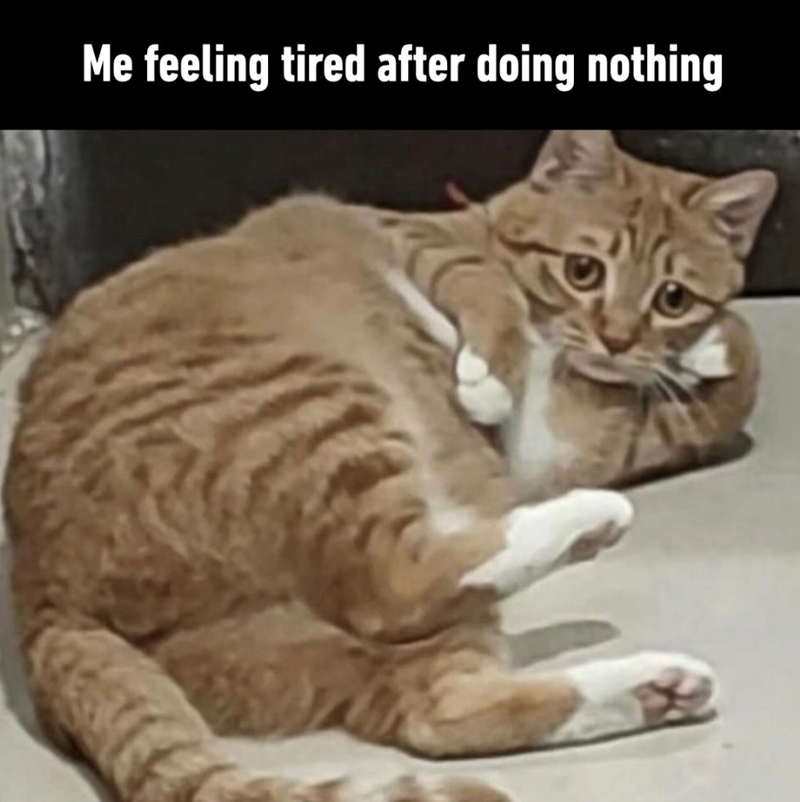 Me feeling tired after doing nothing