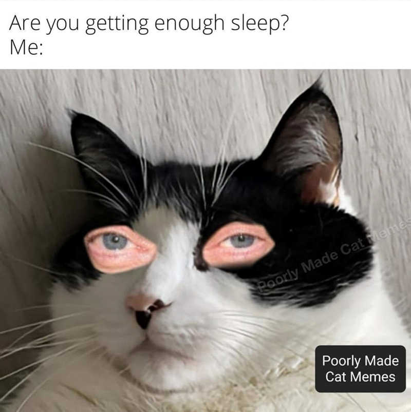 Are you getting enough sleep? Me: Poorly Made Cat Memes Poorly Made Cat Memes