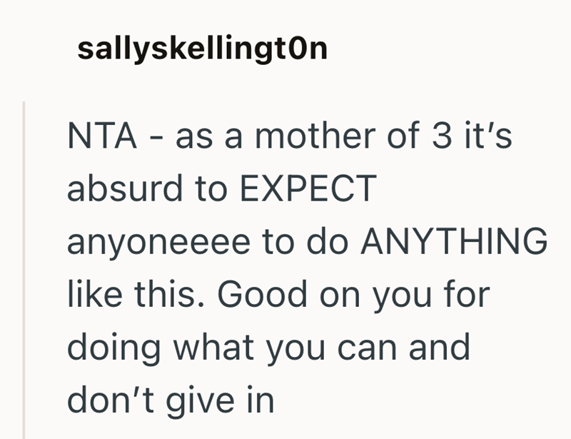 sallyskellington NTA - as a mother of 3 it's absurd to EXPECT anyoneeee to do ANYTHING like this. Good on you for doing what you can and don't give in