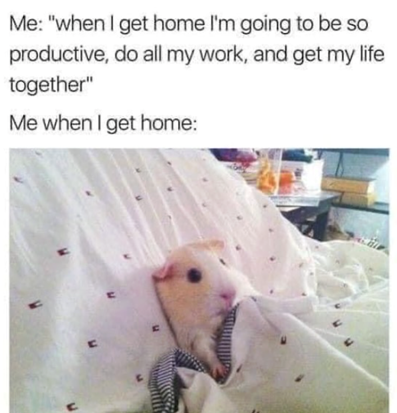 Me: "when I get home I'm going to be so productive, do all my work, and get my life together" Me when I get home: