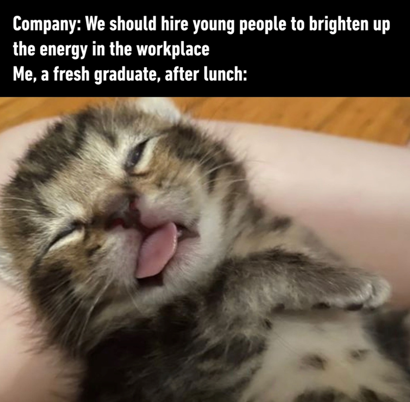 Company: We should hire young people to brighten up the energy in the workplace Me, a fresh graduate, after lunch: