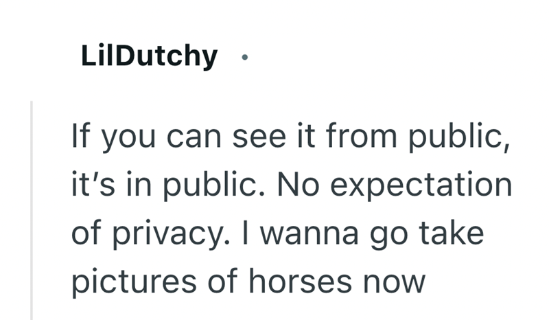 LilDutchy If you can see it from public, it's in public. No expectation of privacy. I wanna go take pictures of horses now
