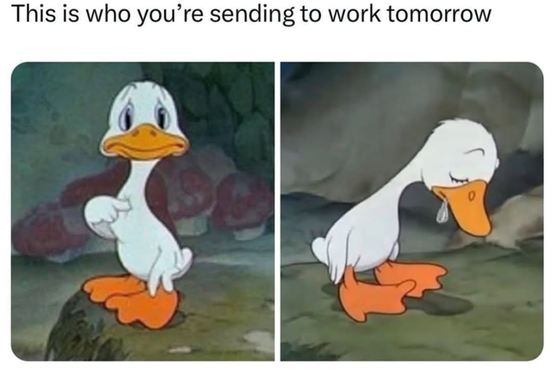 This is who you're sending to work tomorrow