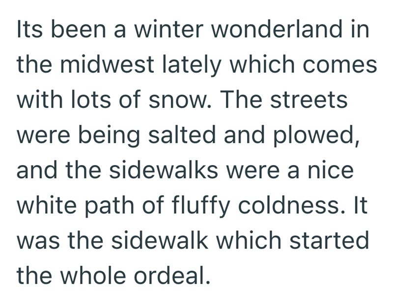 Its been a winter wonderland in the midwest lately which comes with lots of snow. The streets were being salted and plowed, and the sidewalks were a nice white path of fluffy coldness. It was the sidewalk which started the whole ordeal.