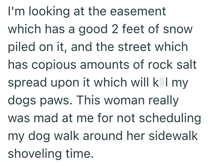 I'm looking at the easement which has a good 2 feet of snow piled on it, and the street which has copious amounts of rock salt spread upon it which will k I my dogs paws. This woman really was mad at me for not scheduling my dog walk around her sidewalk shoveling time.