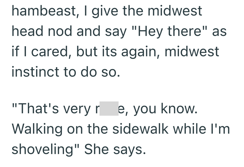 hambeast, I give the midwest head nod and say "Hey there" as if I cared, but its again, midwest instinct to do so. "That's very re, you know. Walking on the sidewalk while I'm shoveling" She says.