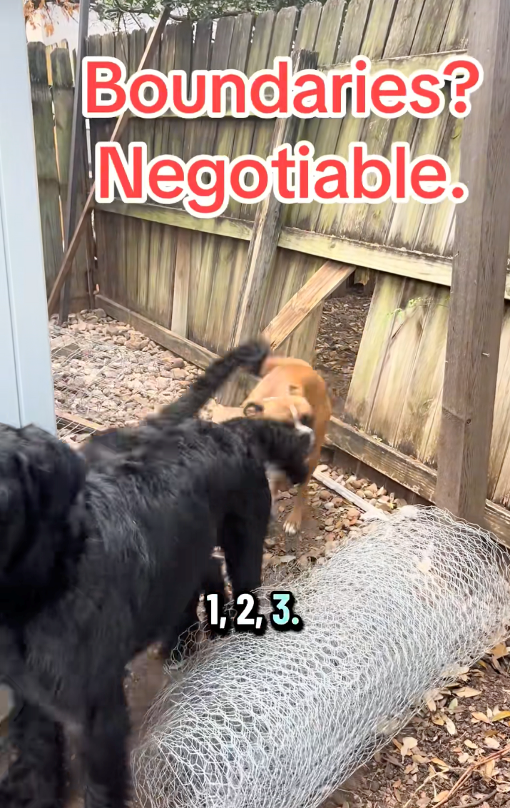 Boundaries? Negotiable. 1,2,3.