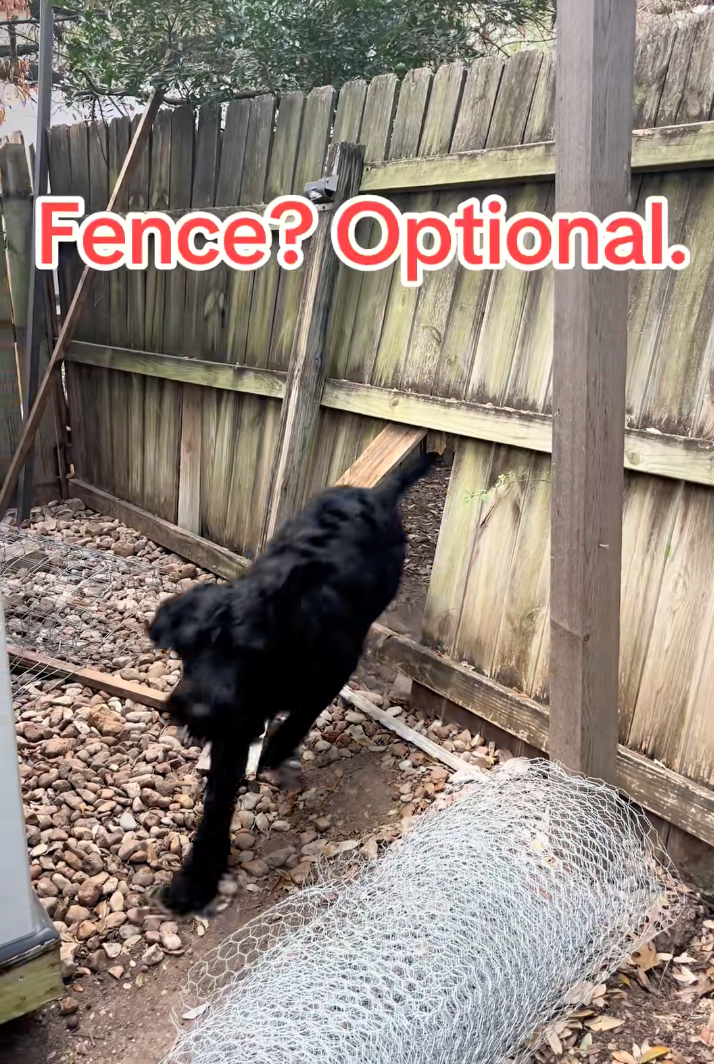 Fence? Optional.