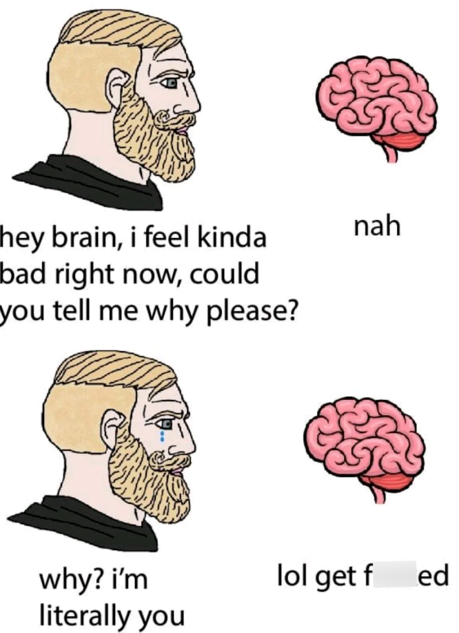 hey brain, i feel kinda bad right now, could you tell me why please? nah why? i'm literally you lol get f ed
