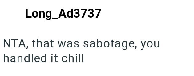 Long_Ad3737 NTA, that was sabotage, you handled it chill