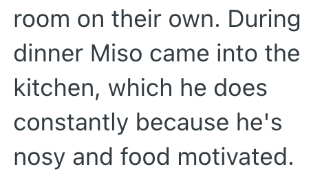 room on their own. During dinner Miso came into the kitchen, which he does constantly because he's nosy and food motivated.