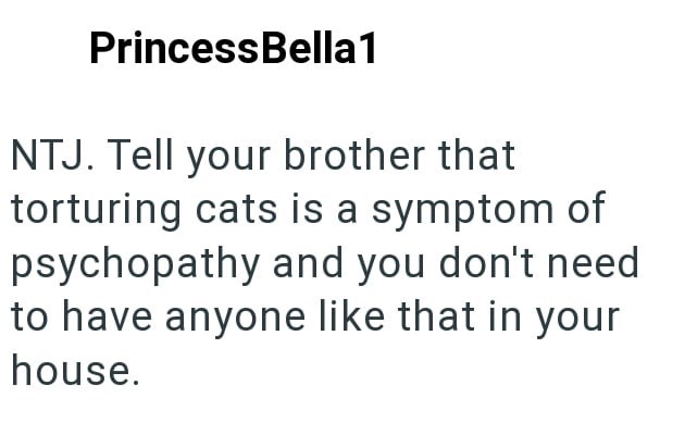 Princess Bella1 NTJ. Tell your brother that torturing cats is a symptom of psychopathy and you don't need to have anyone like that in your house.