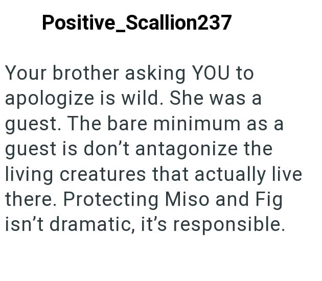 Positive_Scallion237 Your brother asking YOU to apologize is wild. She was a guest. The bare minimum as a guest is don't antagonize the living creatures that actually live there. Protecting Miso and Fig isn't dramatic, it's responsible.