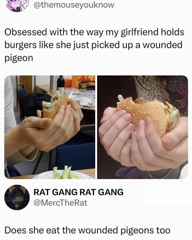 @themouseyouknow Obsessed with the way my girlfriend holds burgers like she just picked up a wounded pigeon RAT GANG RAT GANG @MercTheRat Does she eat the wounded pigeons too