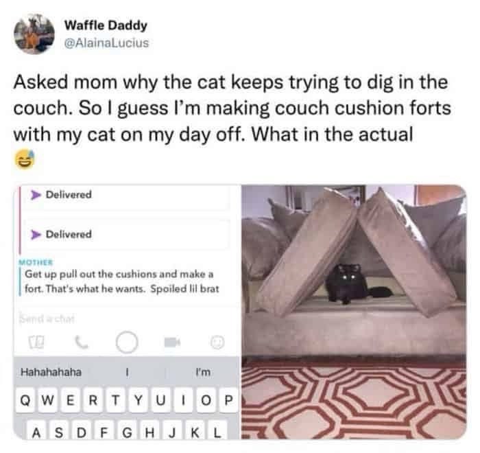 Waffle Daddy @AlainaLucius Asked mom why the cat keeps trying to dig in the couch. So I guess I'm making couch cushion forts with my cat on my day off. What in the actual Delivered Delivered MOTHER Get up pull out the cushions and make a fort. That's what he wants. Spoiled lil brat Send achat 四 Hahahahaha I'm QWERTYUIOP ASDFGHJKL