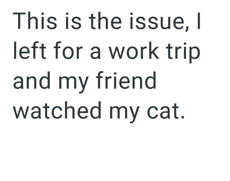 This is the issue, I left for a work trip and my friend watched my cat.