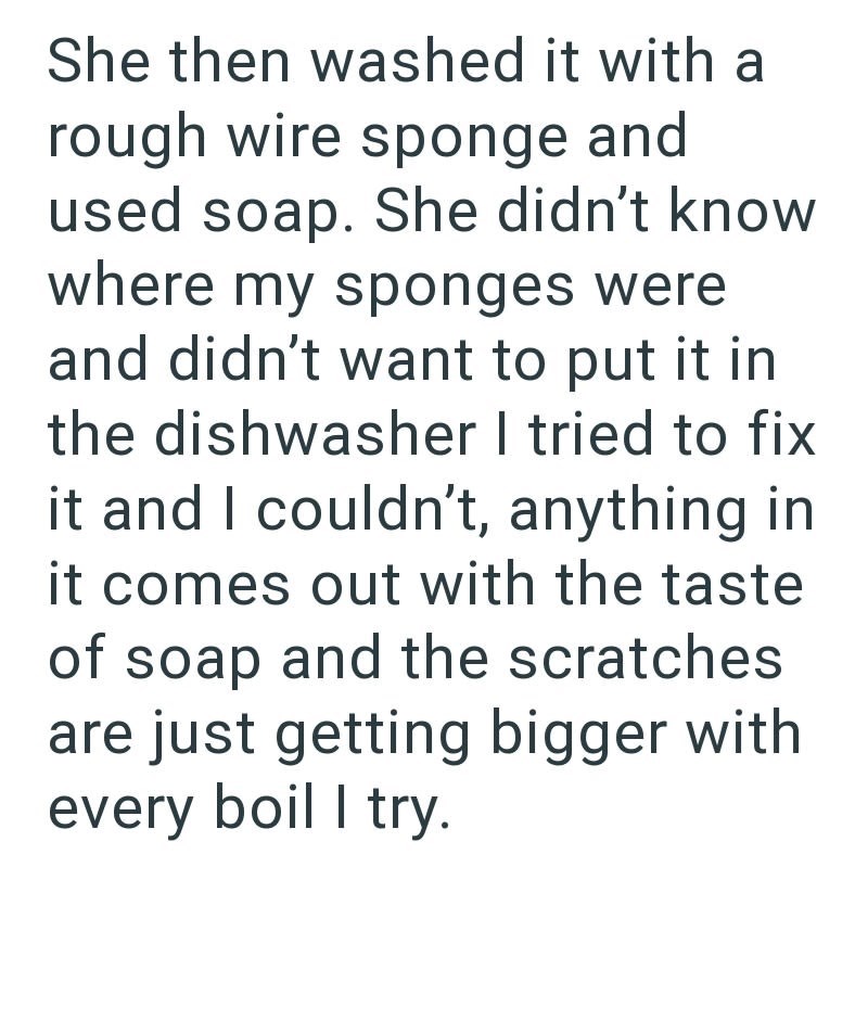 She then washed it with a rough wire sponge and used soap. She didn't know where my sponges were and didn't want to put it in the dishwasher I tried to fix it and I couldn't, anything in it comes out with the taste of soap and the scratches are just getting bigger with every boil I try.