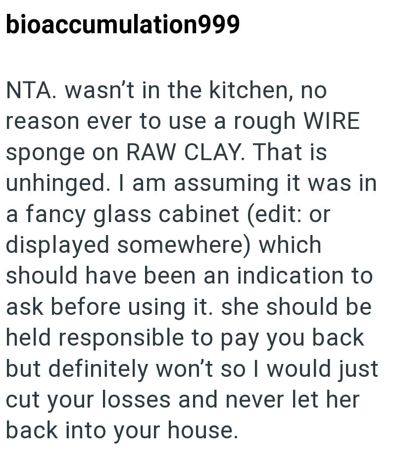bioaccumulation999 NTA. wasn't in the kitchen, no reason ever to use a rough WIRE sponge on RAW CLAY. That is unhinged. I am assuming it was in a fancy glass cabinet (edit: or displayed somewhere) which should have been an indication to ask before using it. she should be held responsible to pay you back but definitely won't so I would just cut your losses and never let her back into your house.