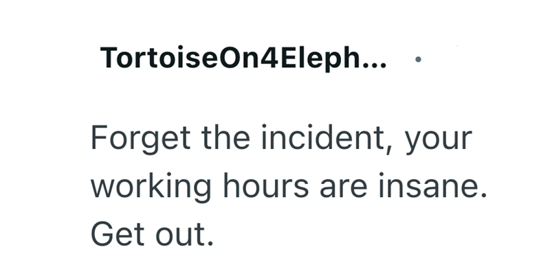 TortoiseOn4Eleph... Forget the incident, your working hours are insane. Get out.