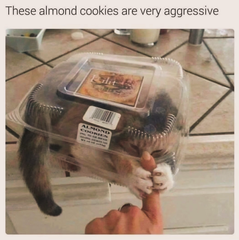 These almond cookies are very aggressive Kilit ALMOND COOKIES