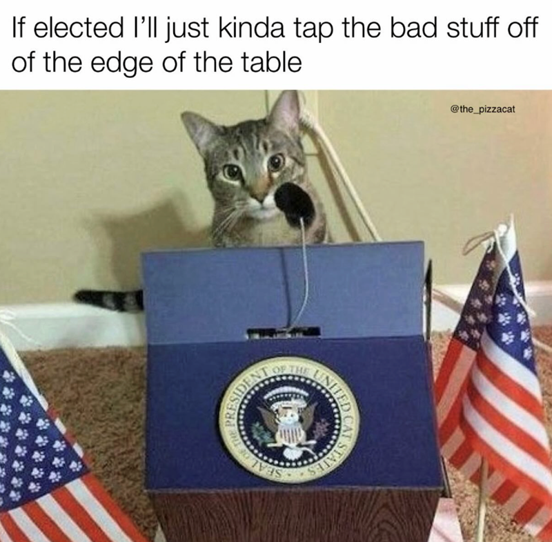 If elected I'll just kinda tap the bad stuff off of the edge of the table PRESIDE OF THE OF THE STED CAT @the_pizzacat