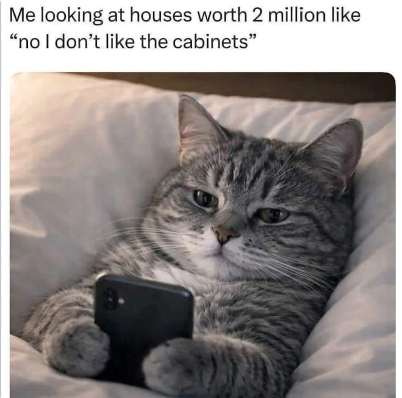 Me looking at houses worth 2 million like "no I don't like the cabinets"