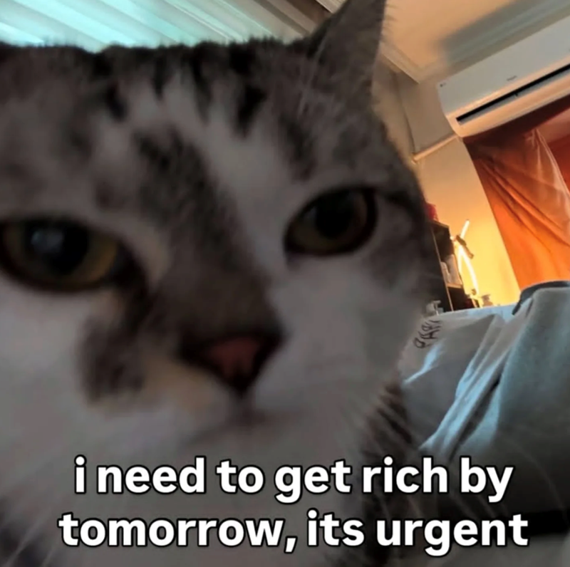 i need to get rich by tomorrow, its urgent