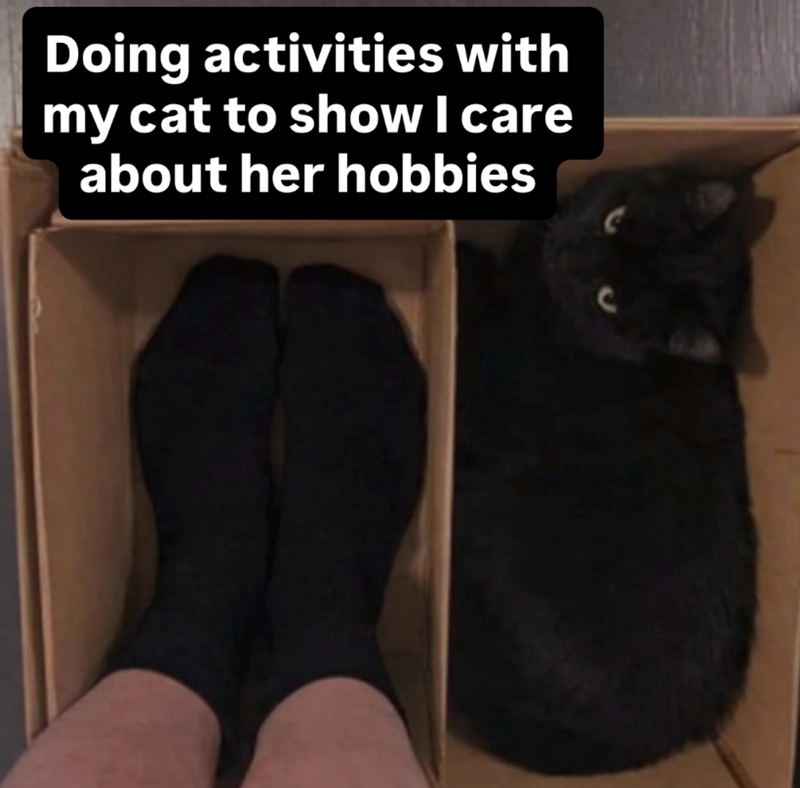 Doing activities with my cat to show I care about her hobbies