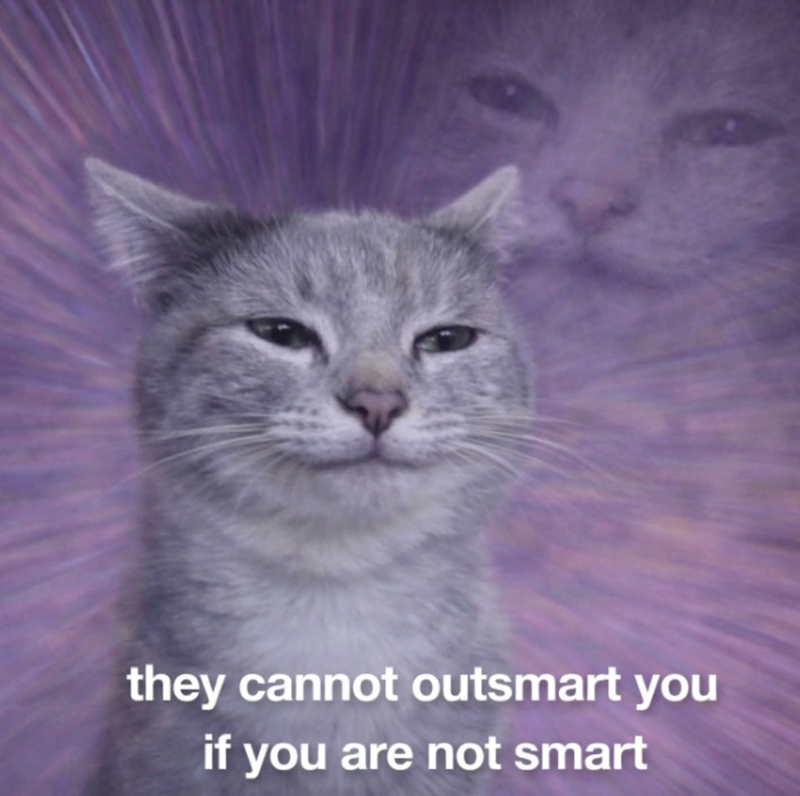 they cannot outsmart you if you are not smart