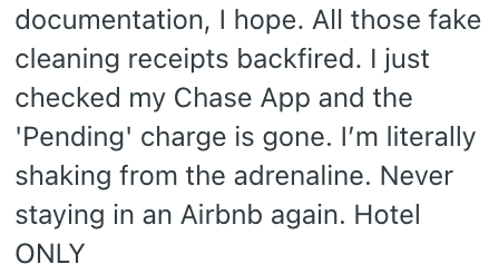 documentation, I hope. All those fake cleaning receipts backfired. I just checked my Chase App and the 'Pending' charge is gone. I'm literally shaking from the adrenaline. Never staying in an Airbnb again. Hotel ONLY