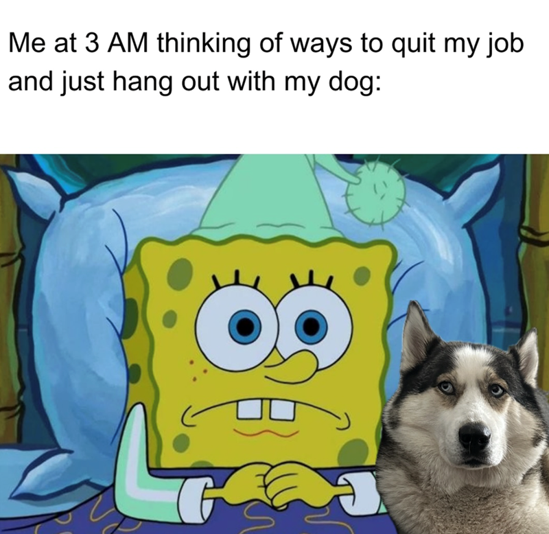 Me at 3 AM thinking of ways to quit my job and just hang out with my dog: G