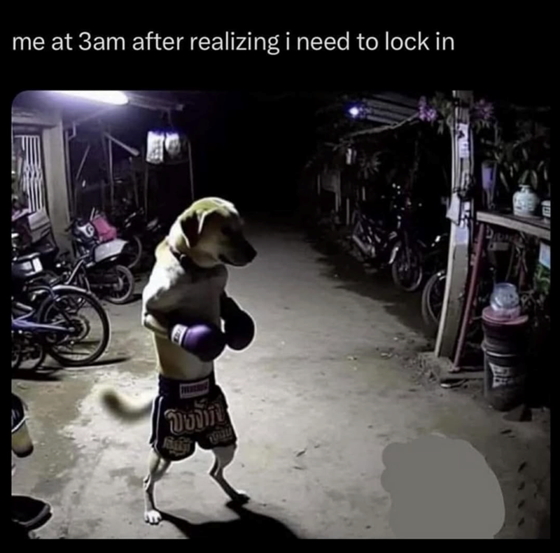 me at 3am after realizing i need to lock in