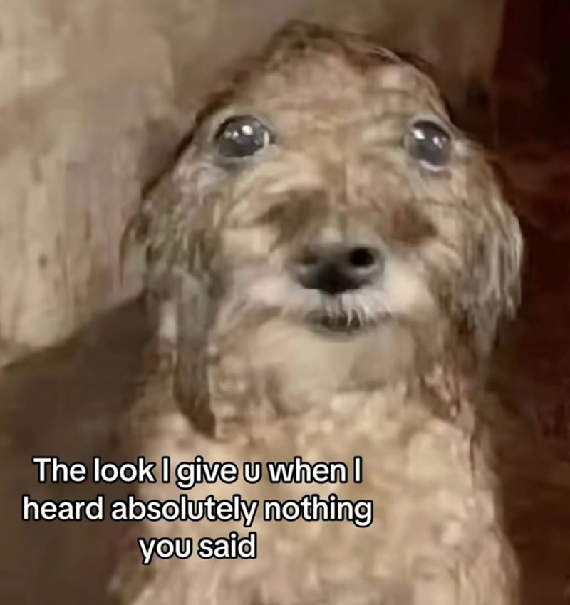 The look I give u when I heard absolutely nothing you said