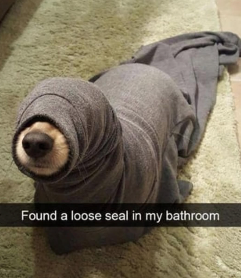 Found a loose seal in my bathroom