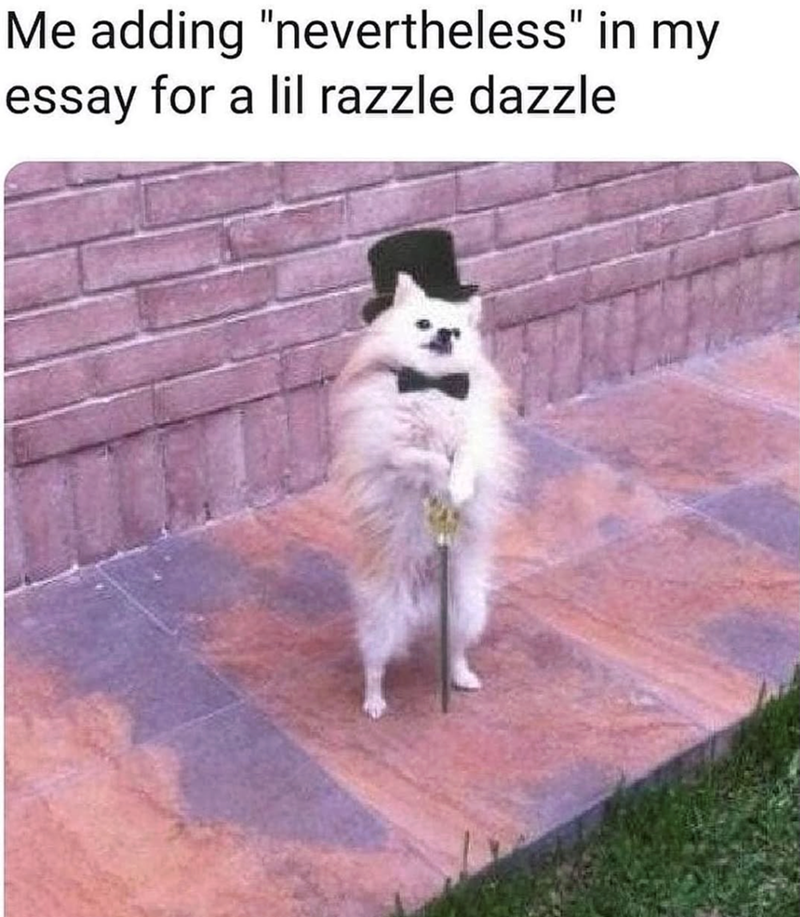 Me adding "nevertheless" in my essay for a lil razzle dazzle