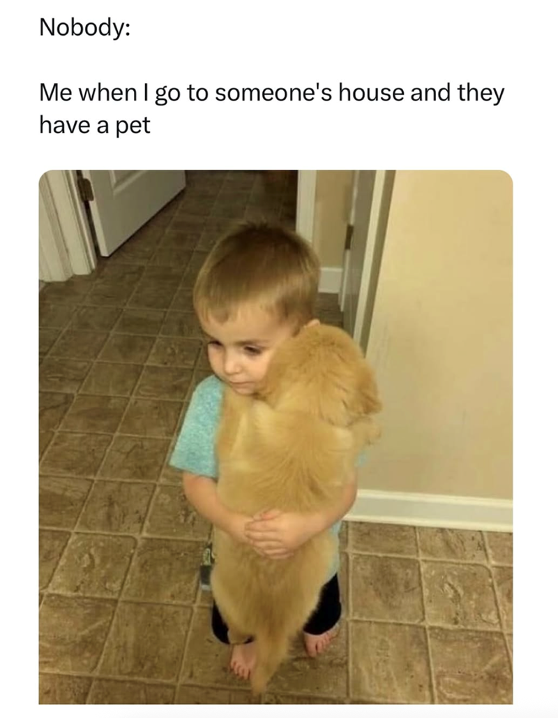 Nobody: Me when I go to someone's house and they have a pet