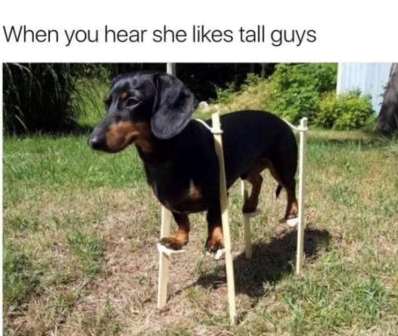 When you hear she likes tall guys