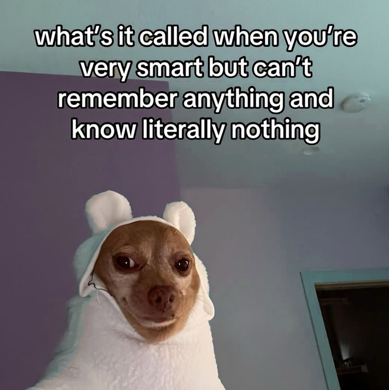 what's it called when you're very smart but can't remember anything and know literally nothing