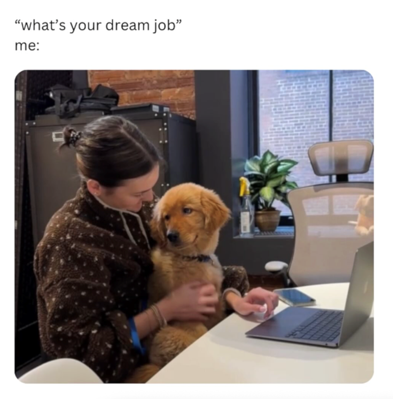"what's your dream job" me:
