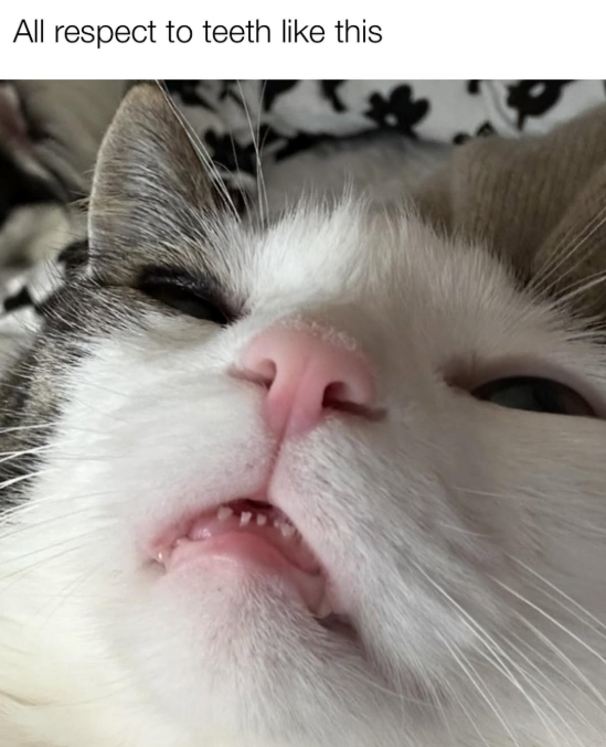 All respect to teeth like this