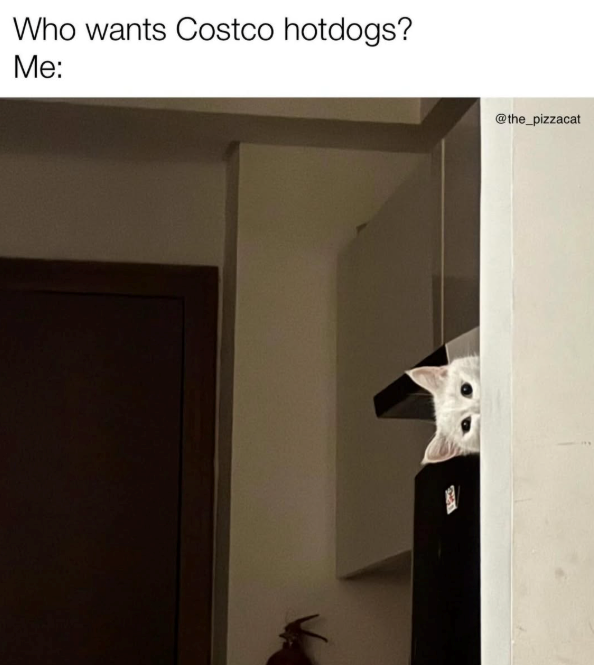 Who wants Costco hotdogs? Me: @the_pizzacat