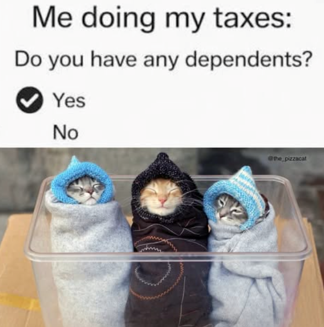 Me doing my taxes: Do you have any dependents? Yes No @the_pizzacat