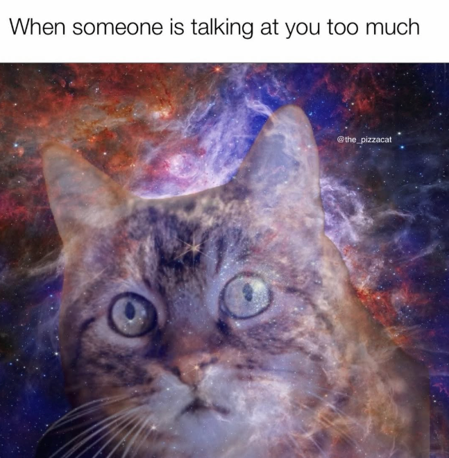 When someone is talking at you too much @the_pizzacat